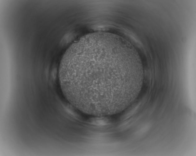 X0000116100652200911231126