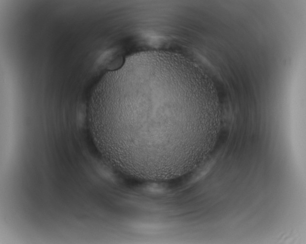 X0000116100656200911231126