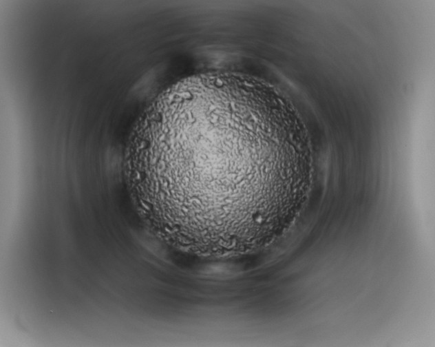 X0000116100657200911231126