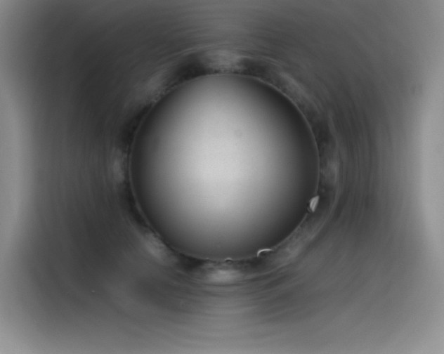 X0000116100658200911231126