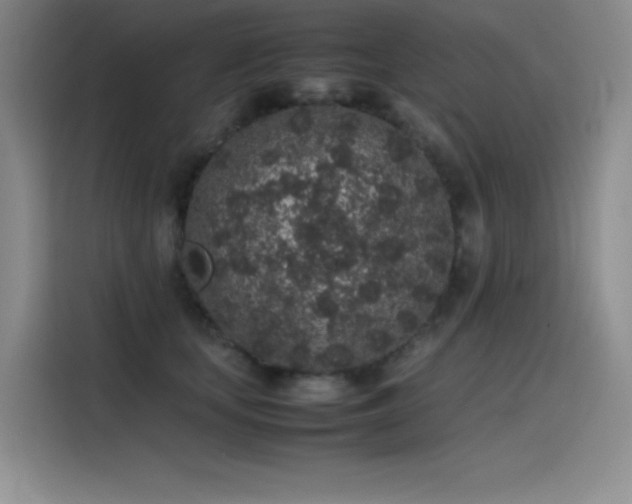X0000116100659200911231126