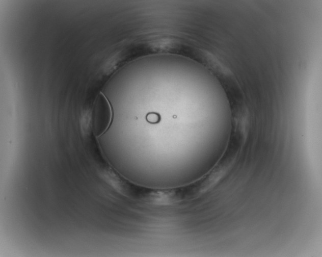 X0000116100660200911231126