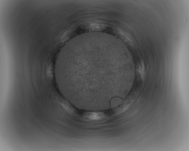 X0000116100663200911231126