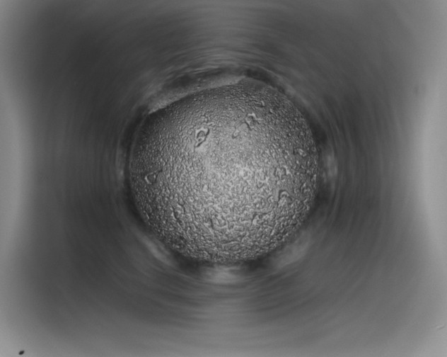 X0000116100664200911231126