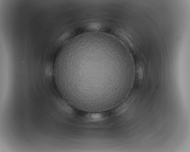 X0000116100665200911231126