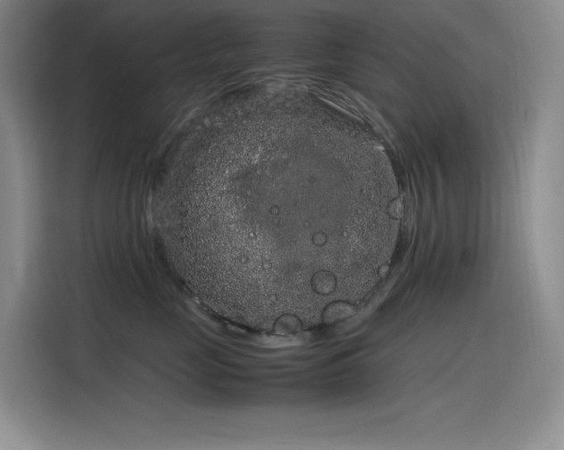 X0000116100669200911231126