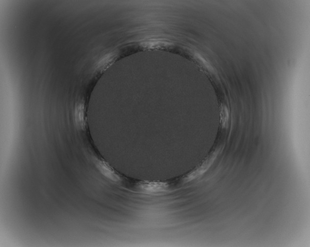X0000116100670200911231126