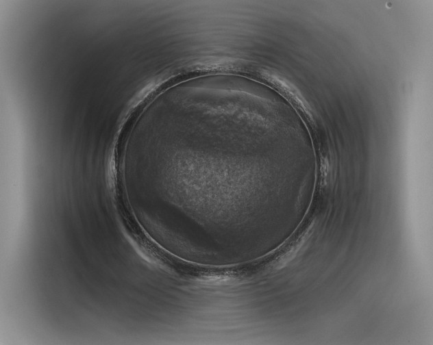 X0000116100674200911231126