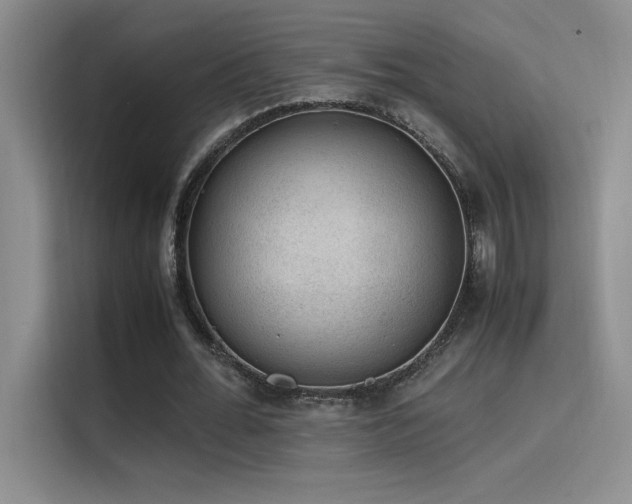 X0000116100676200911231126