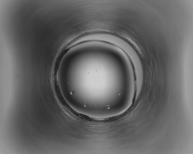 X0000116100677200911231126