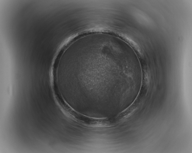 X0000116100678200911231126