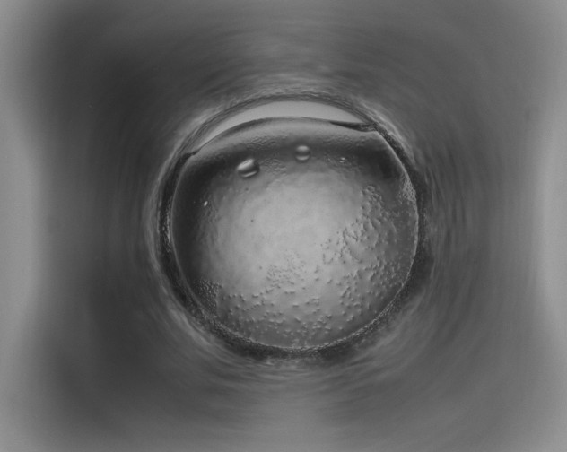 X0000116100679200911231126