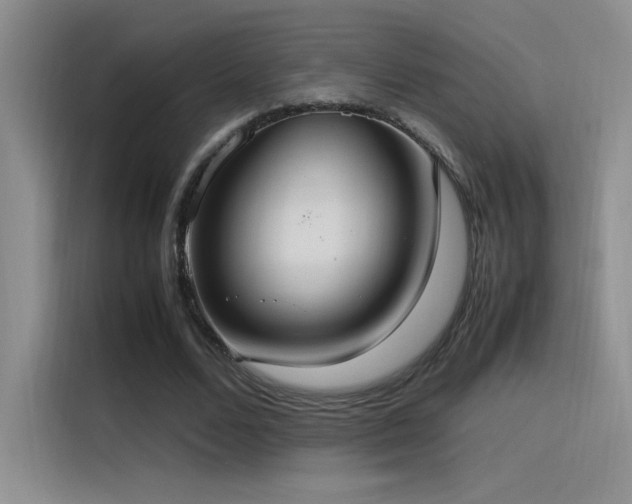 X0000116100680200911231126