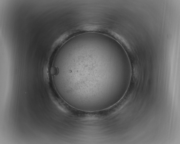 X0000116100682200911231126