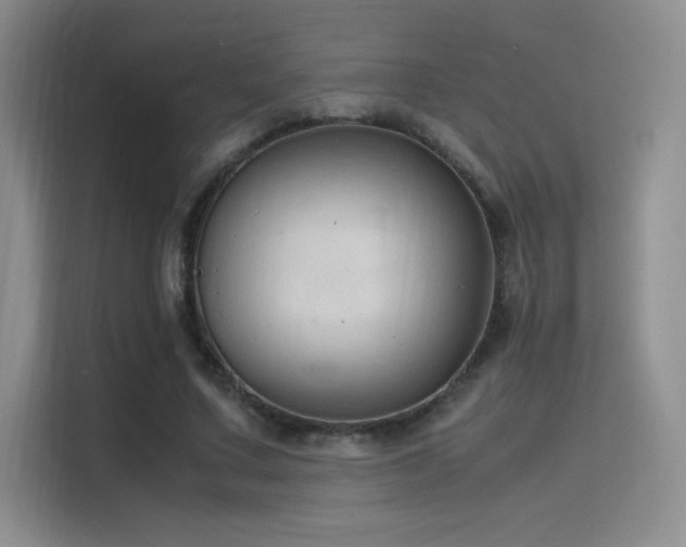 X0000116100683200911231126