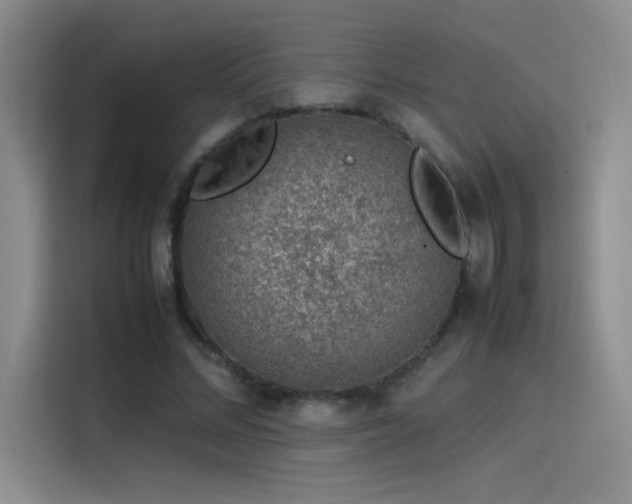 X0000116100684200911231126