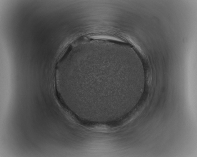 X0000116100685200911231126
