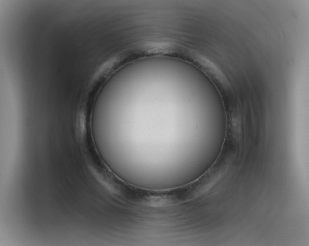 X0000116100686200911231126