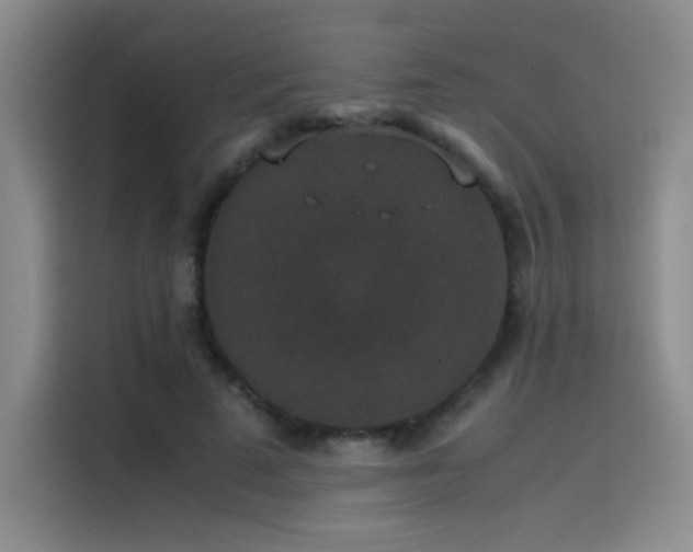 X0000116100689200911231126