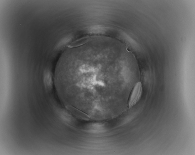 X0000116100692200911231126