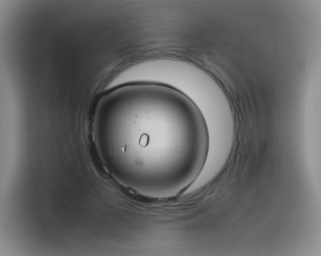 X0000116100693200911231126