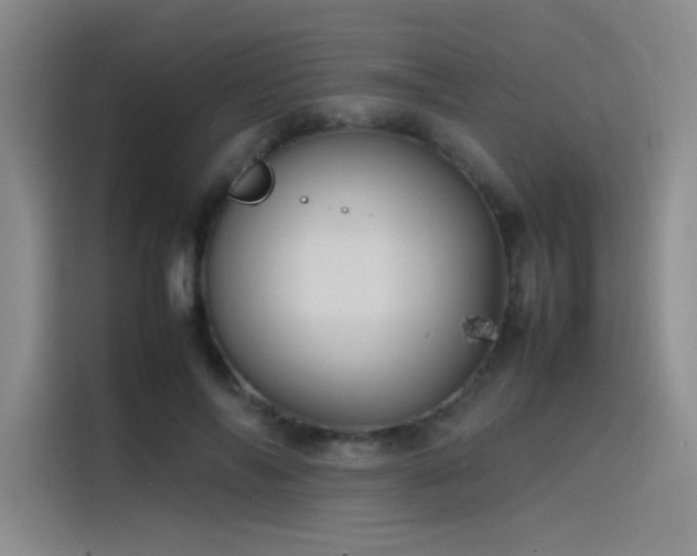 X0000116100694200911231126