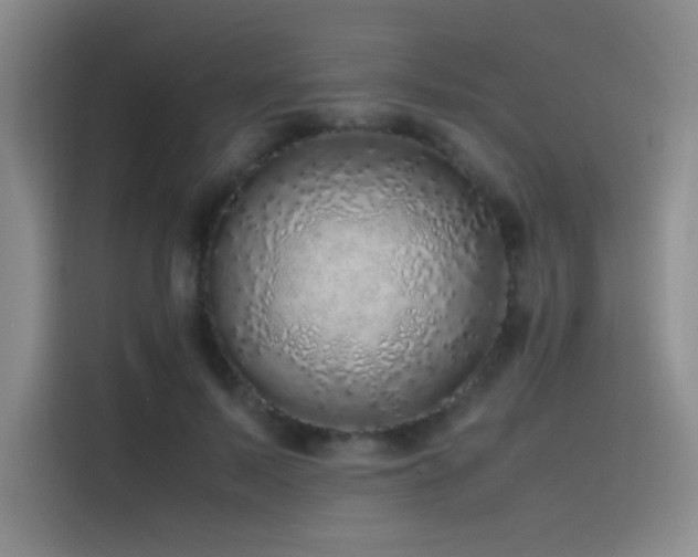 X0000116100695200911231126