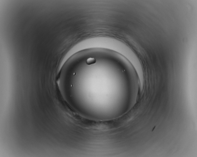 X0000116100696200911231126