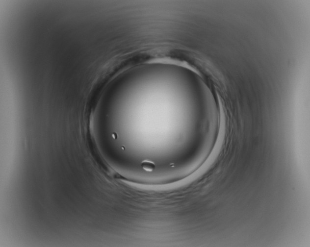 X0000116100697200911231126