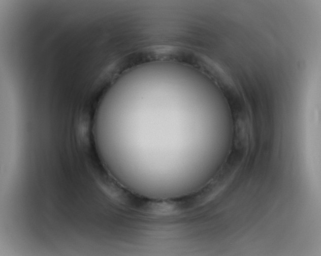 X0000116100698200911231126