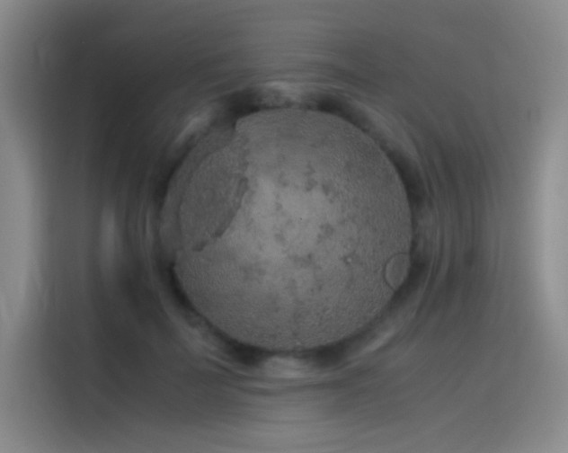 X0000116100699200911231126