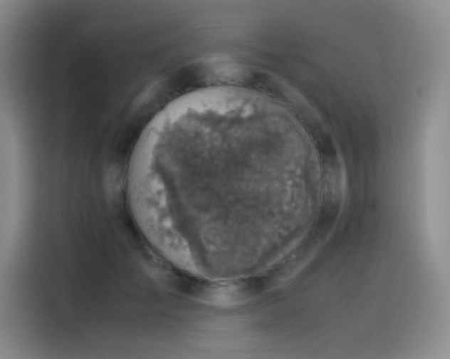 X0000116100701200911231126