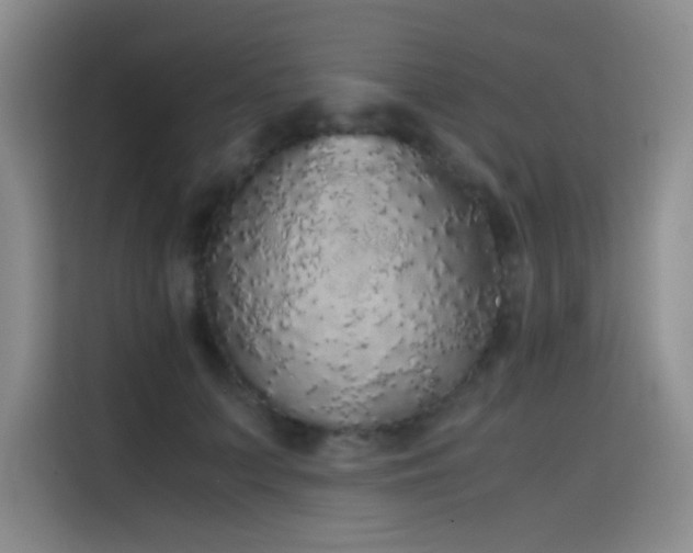 X0000116100703200911231126