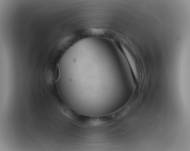X0000116100704200911231125