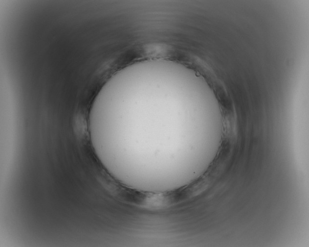 X0000116100705200911231125