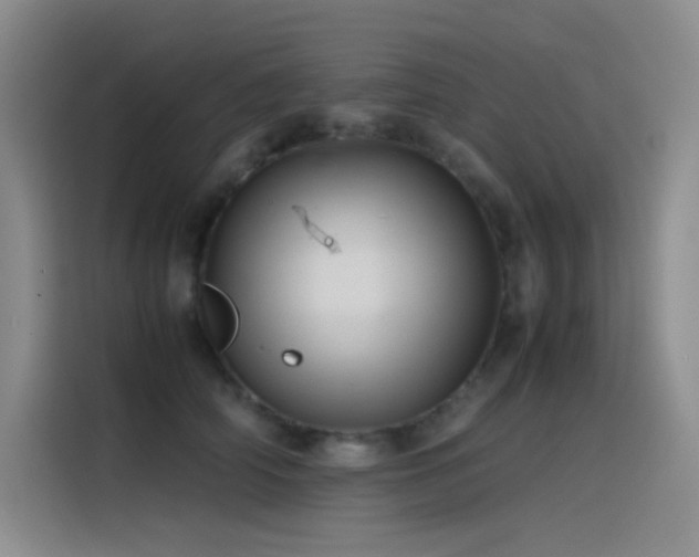 X0000116100706200911231125