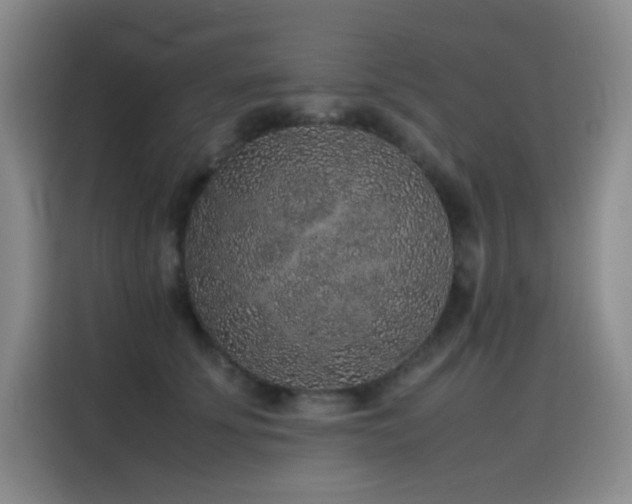 X0000116100707200911231125
