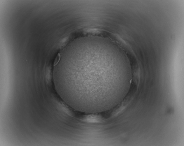 X0000116100708200911231125