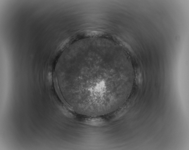 X0000116100716200911231125