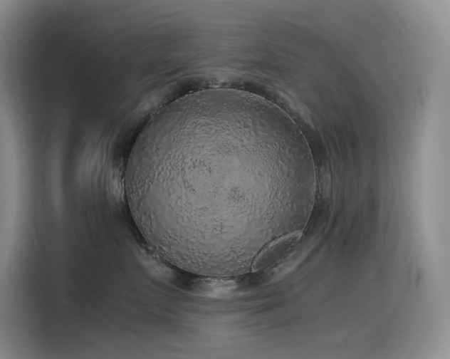 X0000116100719200911231125