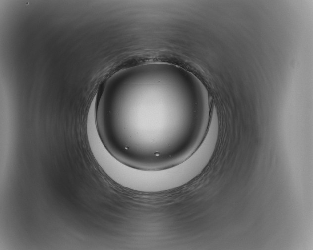 X0000116100720200911231125