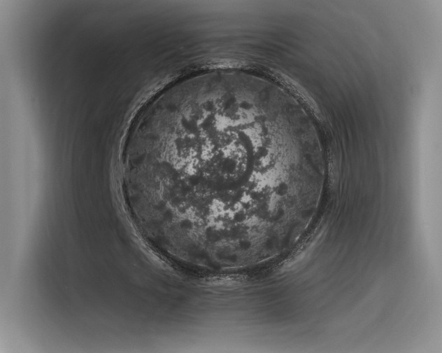 X0000116100721200911231125