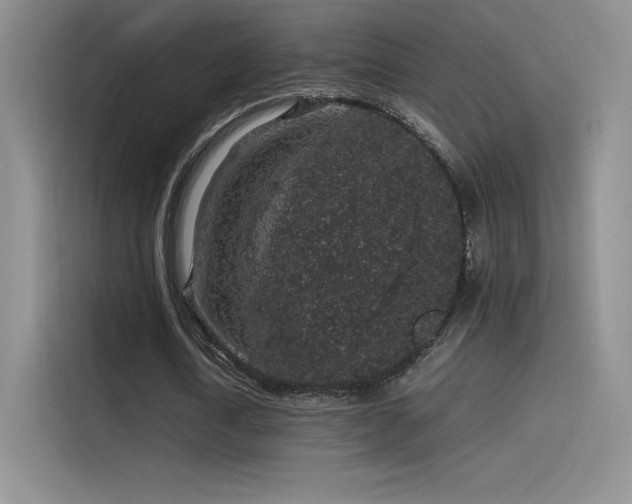 X0000116100722200911231125
