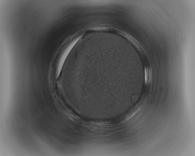 X0000116100723200911231125