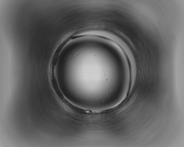 X0000116100725200911231125