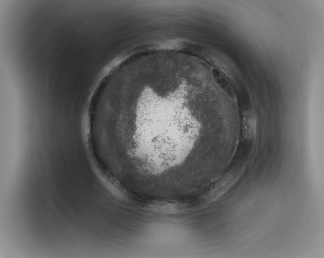 X0000116100726200911231125