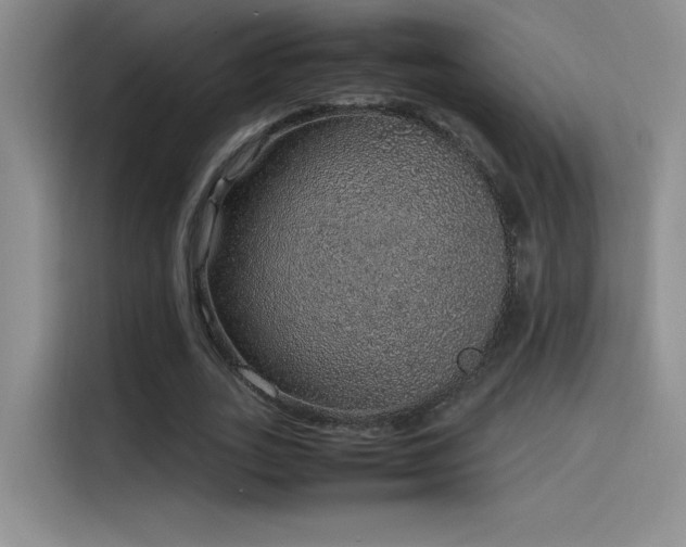 X0000116100727200911231125