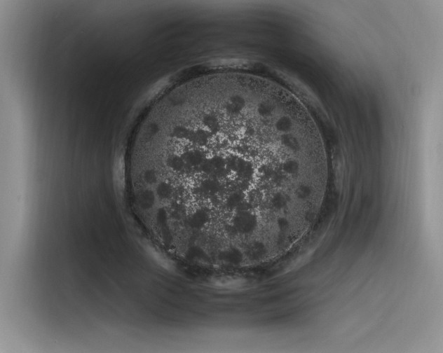 X0000116100729200911231125