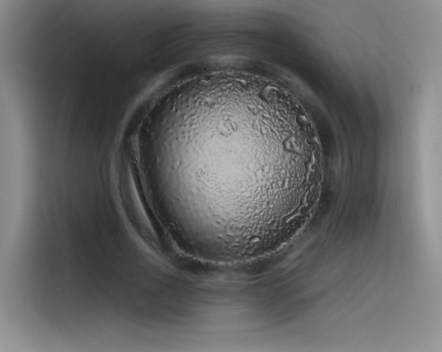 X0000116100734200911231125