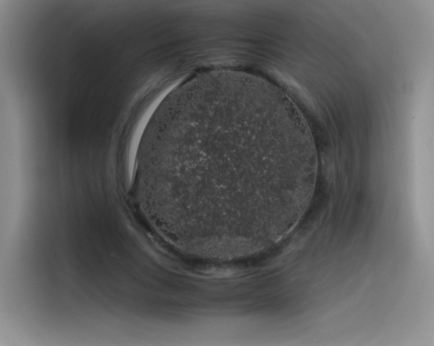 X0000116100735200911231125